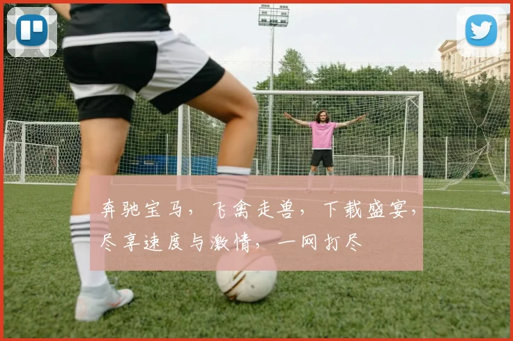 奔驰宝马，飞禽走兽，下载盛宴，尽享速度与激情，一网打尽