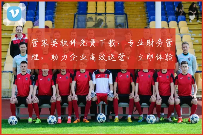 管家婆软件免费下载，专业财务管理，助力企业高效运营，立即体验