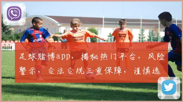 足球赌博app，揭秘热门平台，风险警示，合法合规三重保障，谨慎选择
